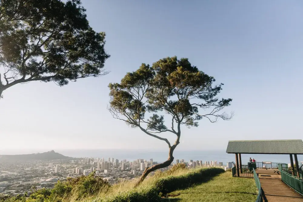 Flights to Cape Town, South Africa